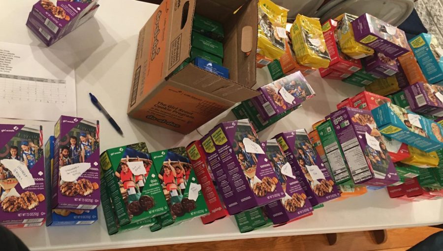 Girl Scouts Sell Cookies Virtually During the Pandemic