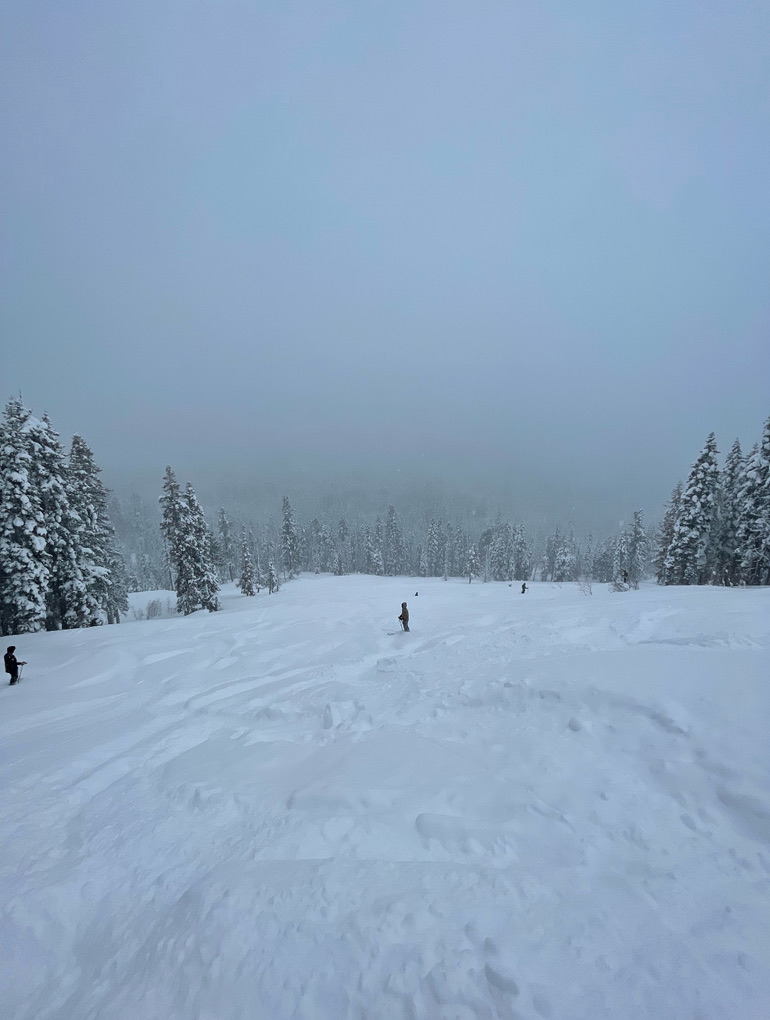 Avalanche Kills One at Palisades Tahoe Ski Resort
