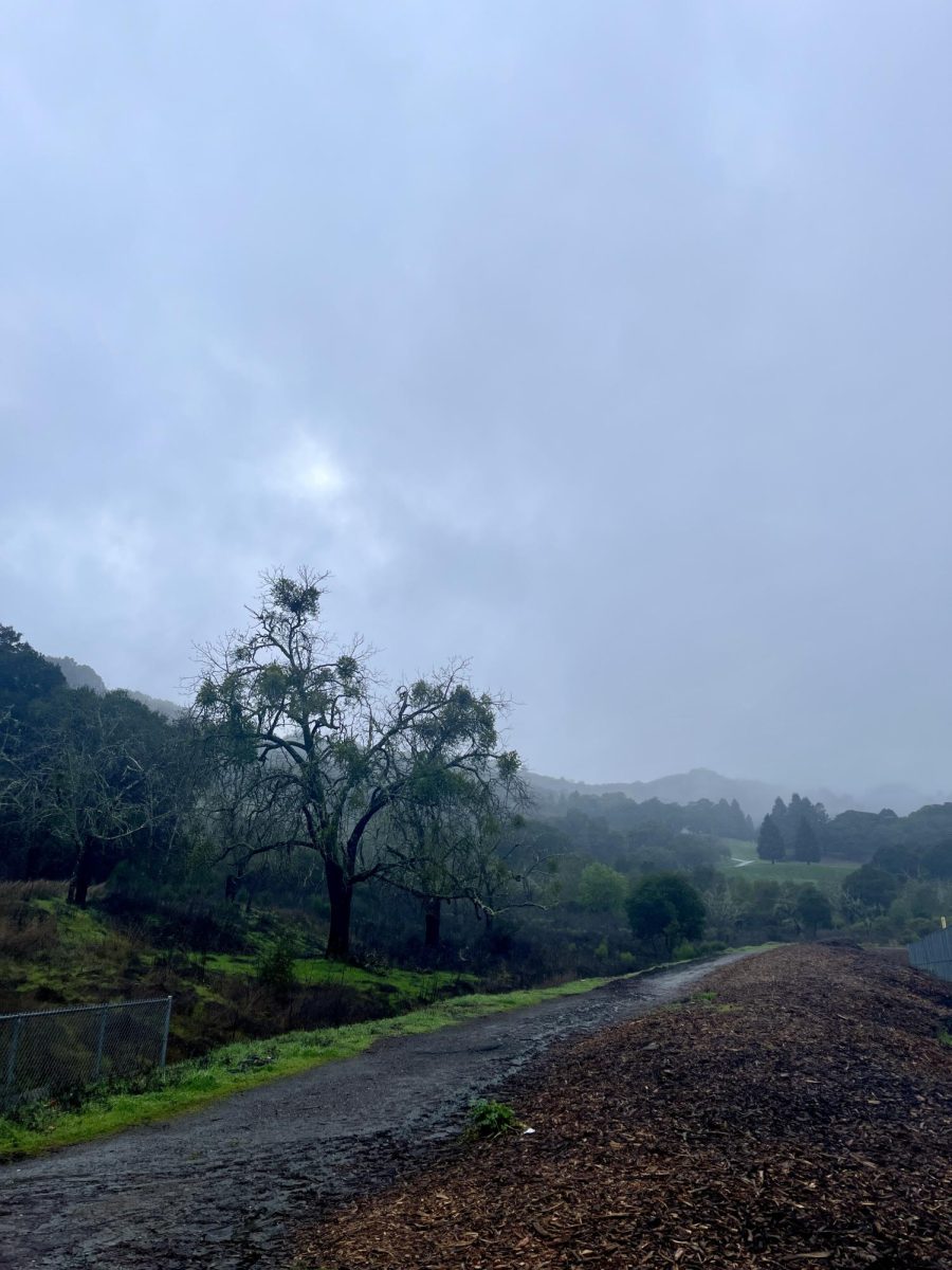 Foggy and rainy weather over the Miramonte campus