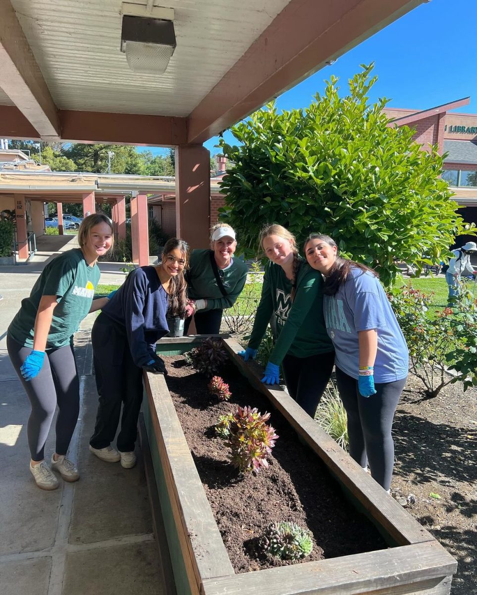 Students planted a myriad of tree and shrub species as part of Campus Beautification Day, held Apr. 20.
Photo: Miramonte Leadership