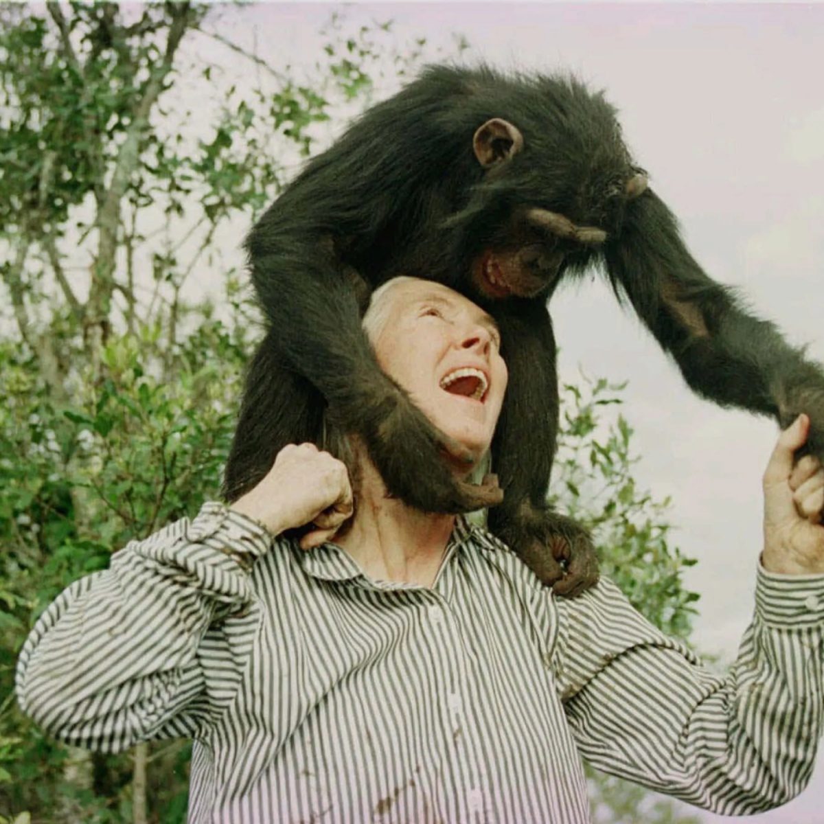 Jane Goodall: Her Life and Legacy